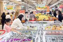 Consumers shop for fruits at Lotte Mall West Lake Hanoi. (Photo: Hanoimoi.vn)