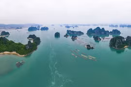 A view of Bai Tu Long Bay (Photo: baoquangninh.vn)