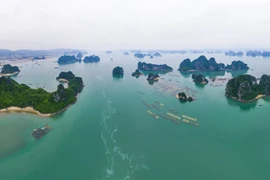 A view of Bai Tu Long Bay (Photo: baoquangninh.vn)