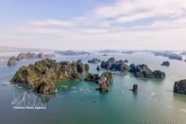 Ha Long Bay, located in northeast Vietnam, is beloved for its blue waters and limestone islands, all occupied by tropical trees and wildlife. (Photo: VNA)