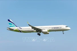 An aircraft of Air Busan (Photo: Yonhap/VNA)