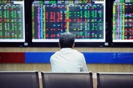 An investor monitors the stock market. (Photo: VNA)