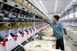 Yarn production at the Logitex Co., Ltd in Vu Ninh Industrial Cluster, Kien Xuong district, Thai Binh province. (Photo: VNA)