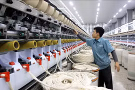 Yarn production at the Logitex Co., Ltd in Vu Ninh Industrial Cluster, Kien Xuong district, Thai Binh province. (Photo: VNA)