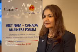 Vina Nadjibulla, former Vice President for Research and Strategy at the Asia Pacific Foundation of Canada (Photo; VNA)