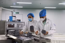 Production at an FDI enterprise in Tay Ninh province. (Photo: VNA)