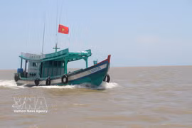 Since the beginning of the year, Ca Mau provinces have inspected 100% of fishing vessels arriving at and departing from designated fishing ports in accordance with regulations. (Photo: VNA) 