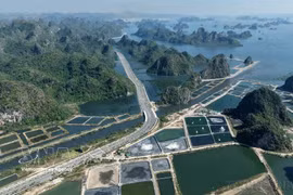 Quang Ninh, Bac Ninh set to become centrally governed cities, creating new growth poles