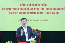 Deputy Prime Minister Ho Duc Phoc gives instructions at a working session on March 27 (Photo: VNA)