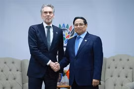 Vietnamese Prime Minister Pham Minh Chinh (R) and his Dutch counterpart Dick Schoof in Johannesburg on November 23. (Photo: VNA)