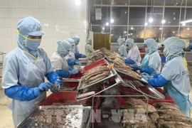 Workers produce canned tuna at the Seaspimex factory in Ho Chi Minh City. (Photo: VNA)