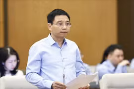 Minister of Finance Nguyen Van Thang speaks at the session. (Photo: VNA)