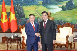 Politburo member and Permanent member of the Communist Party of Vietnam (CPV) Central Committee’s Secretariat Tran Cam Tu (left) meets with General Secretary of the Lao People's Revolutionary Party (LPRP) Central Committee and President of Laos Thongloun Sisoulith in Vientiane. (Photo: VNA)