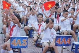 Illustrative photo (Photo: VNA)