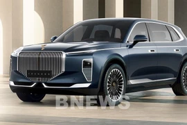 Lac Hong 800S model by VinFast (Photo: VNA)