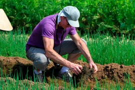 Foreign tourists experience the feeling of being a farmer in Tra Que vegetable village (Photo: VietnamPlus)