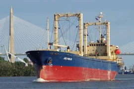 Cargo vessel Dolphin 18 (Photo: qdnd.vn)