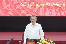 Party General Secretary To Lam speaks at the meeting (Photo: VNA)