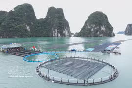 Marine farming emerges as a new growth engine