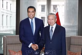 General Secretary of the Communist Party of Vietnam (CPV) Central Committee To Lam (right) and Saif Malik, CEO of Standard Chartered Bank and Head of Client Coverage, the UK at their meeting on October 29 (Photo: VNA)