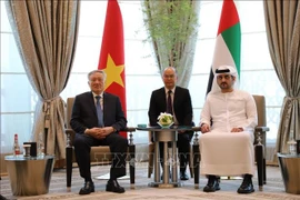 Permanent Deputy Prime Minister Nguyen Hoa Binh (L) meets with Deputy Prime Minister and Minister of Finance of the United Arab Emirates (UAE) Maktoum bin Mohammed bin Rashid Al Maktoum (R). (Photo: VNA)