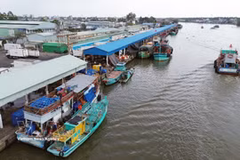 Bustling activity as fishing vessels enter and leave Tac Cau fishing port in An Giang province. (Photo: VNA)