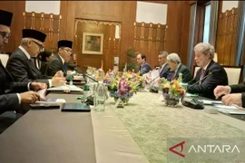 Indonesian Foreign Minister Sugiono (third, left) and his New Zealand counterpart Winston Peters (third, right) co-chair the 12th meeting of the Indonesia-New Zealand Joint Ministerial Commission (JMC) in Jakarta, on June 13. (Photo: ANTARA)