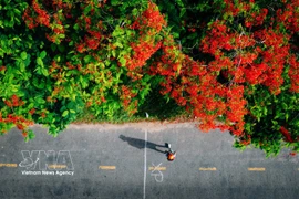 Vietnamese travellers are increasingly opting for short-haul overseas trips and distinctive experiences for the upcoming Reunification Day (April 30) and May Day holiday. (Illustrative photo: VNA)