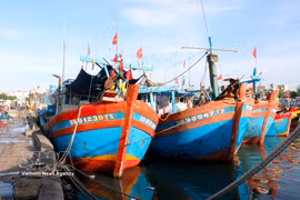 A fishing vessel bearing Ho Chi Minh City registration docks at Phan Thiet Port in Lam Dong province. (Photo: VNA)