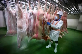 Slaughtered pigs are transported to pork supplier OJJ Foods, where they will be left in this chiller room before being butchered. (Photo: www.straitstimes.com)