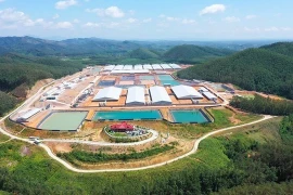 BAF Vietnam Agricultural Joint Stock wants to build two 6-storey pig farming complexes in the southern province of Tay Ninh and Binh Phuoc. (Photo: The Courtesy of BAF)