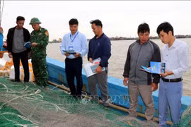 Competent forces of Ninh Binh province inspect a fishing vessel at Ninh Co fishing port (Photo: VNA)