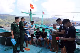 Officers and soldiers of Son Tra Border Guard Station, Da Nang City Border Guard Command tell local fishermen about IUU fishing. (Photo: VNA)