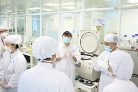 Experts working at the stem cell laboratory of the University of Science under the Vietnam National University, Ho Chi Minh City. (Photo: sggp.org.vn)