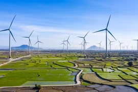 Illustrative image (Photo: VNA)