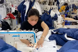 At Foremart Vietnam Co., Ltd. in Hung Yen (Photo: https://baohungyen.vn/)