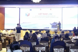 Deputy Minister of Foreign Affairs Le Thi Thu Hang speaks at the cultural event. (Photo: baoquocte.vn)