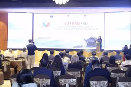 Deputy Minister of Foreign Affairs Le Thi Thu Hang speaks at the cultural event. (Photo: baoquocte.vn)