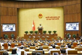 At the meeting (Photo: VNA)