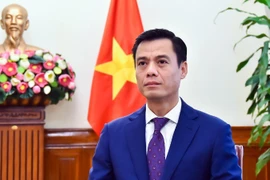 Deputy Minister of Foreign Affairs and head of Vietnam’s SOM ASEAN Dang Hoang Giang (Photo: Ministry of Foreign Affairs)