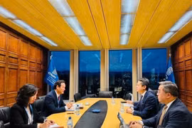 Ambassador Mai Phan Dung, Permanent Representative of Vietnam to the United Nations and other international organisations in Geneva holds a meeting with representatives from WIPO. (Photo: VNA broadcasts)
