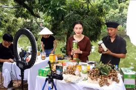 Content creators help farmers in Hung Yen province promote and sell longan and OCOP agricultural products on TikTok. (Photo: VNA)