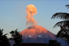 Ash erupts from Mount Semeru, seen from Lumajang, East Java, Indonesia. (File Photo: Xinhua/VNA)