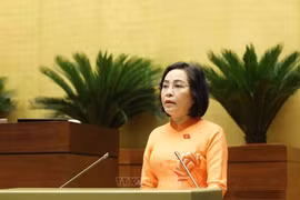 National Assembly Vice Chairwoman Nguyen Thi Thanh speaks at the plenary meeting at the hall on May 12 morning as part of the ongoing 9th session of the legislature. (Photo: VNA)