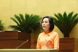 National Assembly Vice Chairwoman Nguyen Thi Thanh speaks at the plenary meeting at the hall on May 12 morning as part of the ongoing 9th session of the legislature. (Photo: VNA)