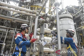 Illustrative image (Photo: Antara)