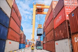 The MoIT calls for stricter control over imported materials amid tighter origin rules (Photo: VNA)