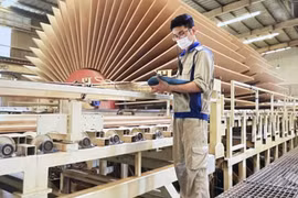 MDF wood production at Quang Tri Wood Company (Photo published by VNA)