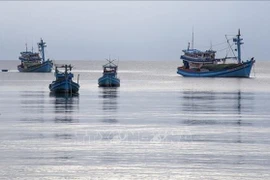 Fishermen's fishing boats anchored in the waters of Phu Quoc Special Economic Zone, An Giang province (Photo: VNA)