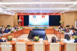 At the 42nd session of the Vietnam–Cuba Intergovernmental Committee on Economic and Scientific–Technical Cooperation. (Photo: VNA)